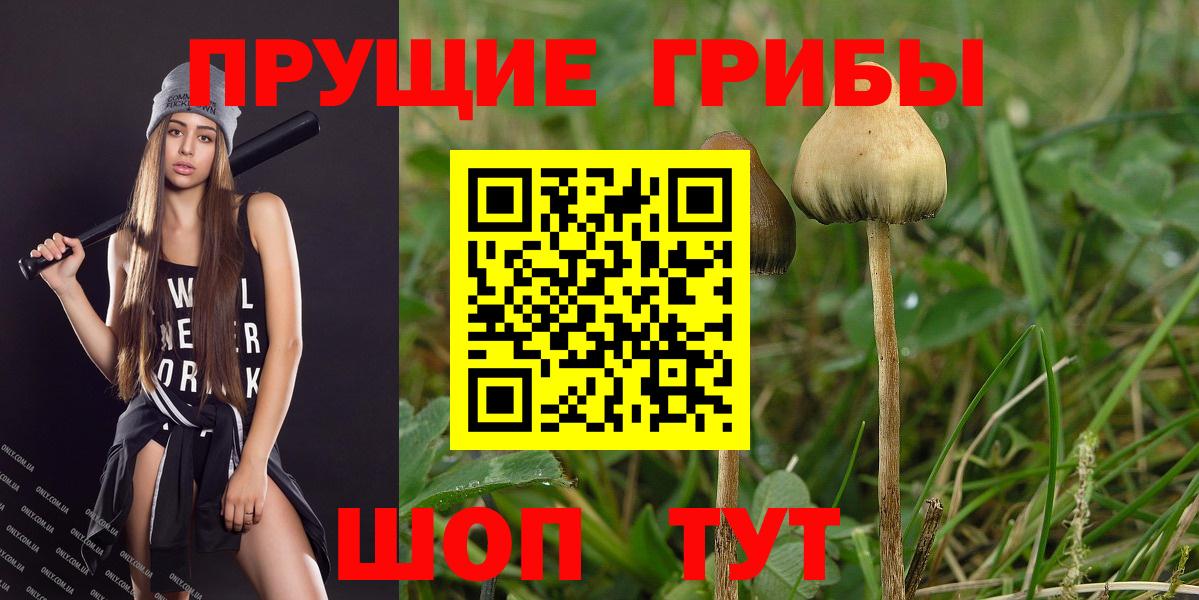 Сланцы  купить наркоту  Вход с VPN  Галлюциногенные грибы GOLDEN TEACHER 