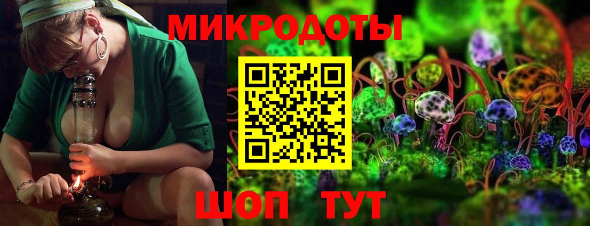 Псилоцибиновые грибы MAGIC MUSHROOMS Сланцы